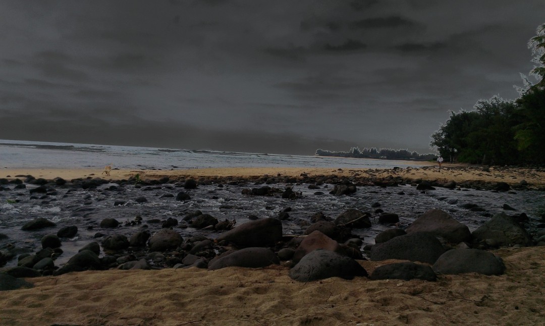 Dark Hawaii