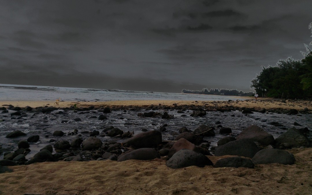Dark Hawaii