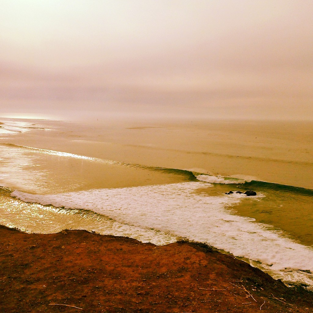 The Cove